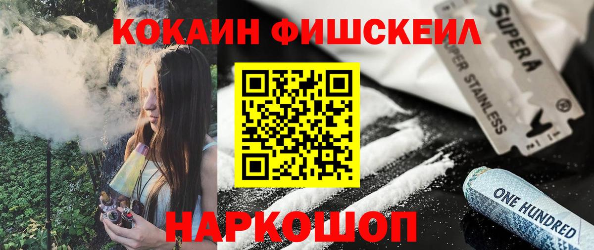 COCAIN Fish Scale  Вход с VPN  COCAIN  COCAIN Боливия  Дедовск 