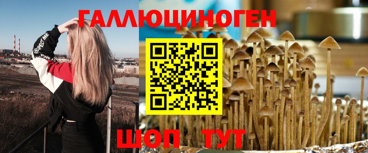 Галлюциногенные грибы Magic Shrooms Дедовск