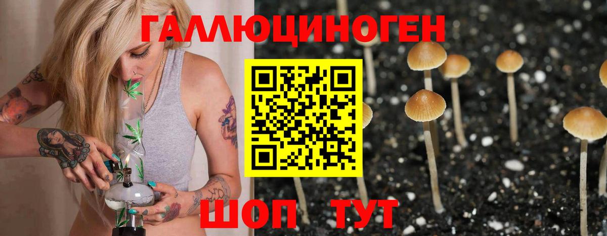 Галлюциногенные грибы Magic Shrooms  Вход с VPN  Дедовск 